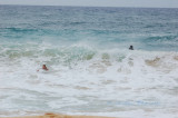 Hawaii1Cs0028.jpg