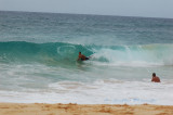 Hawaii1Cs0032.jpg