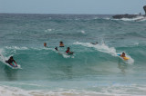 Hawaii1Cs0036.jpg