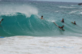 Hawaii1Cs0040.jpg