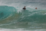 Hawaii1Cs0042.jpg