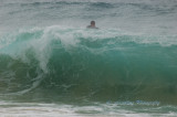 Hawaii1Cs0043.jpg