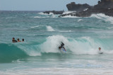 Hawaii1Cs0046.jpg