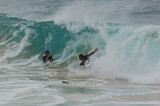 Hawaii1Cs0053.jpg