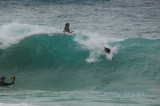 Hawaii1Cs0054.jpg