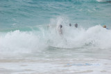 Hawaii1Cs0062.jpg