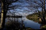 Cranberry Lake