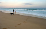 Two boys and a dog