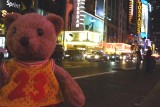 Micah's Bear in New York