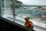 Waiting and waiting at the airport