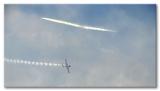 Dogfight