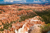 Bryce