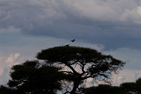 30D_20415.jpg