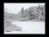 Frozen Pond after Snowfall