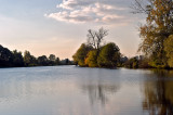 The Ponds in Lomna