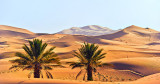 Erg Chebbi