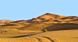 Erg Chebbi