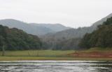IMG_6842w.jpg