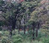 IMG_6843w.jpg