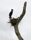 IMG_6847w.jpg