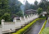 IMG_6892w.jpg