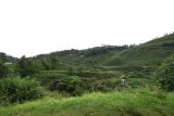 IMG_6903w.jpg
