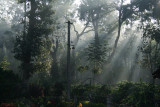 rays of light.jpg