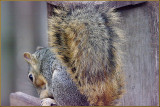 IMGP8382-800.jpg