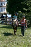 Pony Rides.