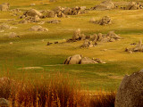 Rocky Scene at Sunset.jpg