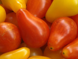 Plum Tomatoes 3.jpg