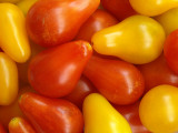 Plum Tomatoes 2.jpg