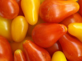 Plum Tomatoes 1.jpg