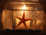 Candlelite Starfish<BR>October 28, 2008