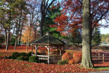 Autumn Scene - Gazebo<BR>November 10, 2008