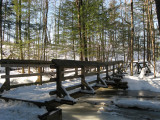 Winter SceneJanuary 4, 2009
