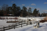 Cook Park<BR>January 16, 2009
