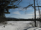 Snowshoe Trail<BR>January 25, 2009