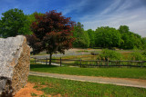 Park in HDR<BR>June 4, 2009