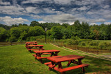 Local Park in HDR<BR>July 24, 2009