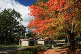 Autumn Colors<BR>October 6, 2009