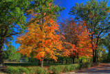 Autumn Landscape in HDR<BR>October 13, 2010