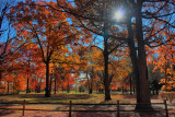 More Autumn Colors in HDR<BR> November 2, 2010