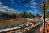 Park Landscape in HDR<BR>December 24, 2010