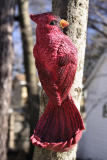 Cardinal Bird Feeder