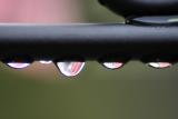 Water drops on wrough iron