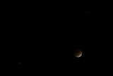 Lunar Eclipse - With Saturn and Regulus