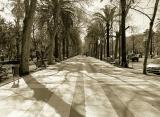 RAMBLAS DE MALAGA