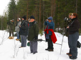 British birders