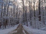 winter2008_2.jpg